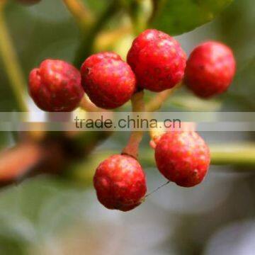 supply peppercorn with low price