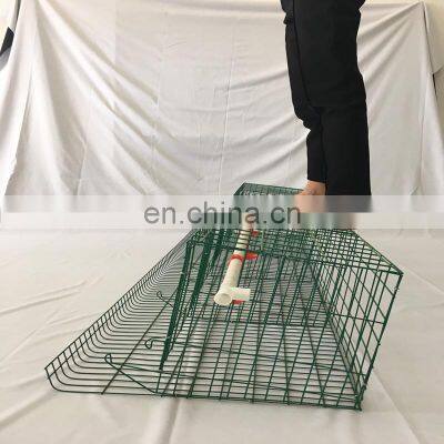 Chicken Cages in Kenya with Nairobi Stock and Agent and Farm sample