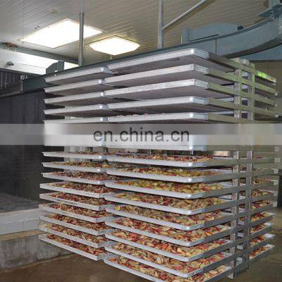 30000kg Industrial Freeze Dryer High Quality Scale Freeze Dryer Benchtop Freeze Dryer photo-4