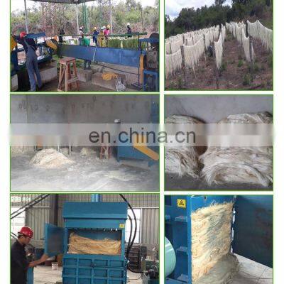 New Designed Peel Hemp Machine Fibre Decorticating Stripping Machine Used Around the World photo-2