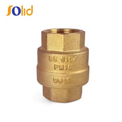 Non Return Brass Vertical Spring Check Valve