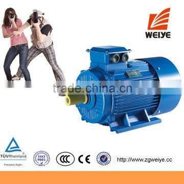 MADE IN CHINA Chinese Factory Lower Price Electric Motors