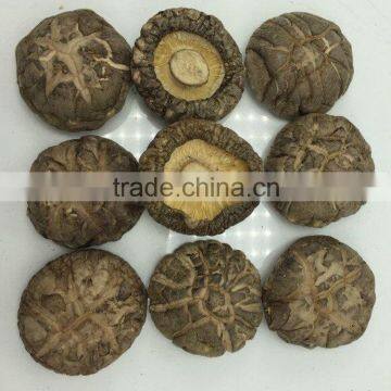 Price for Wholesale Dried Shiitake 1KG photo-5