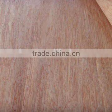 Grade A-D 0.2-0.35mm Doorskin Bintangor Face Veneer photo-3