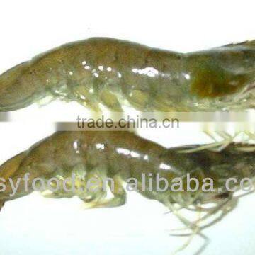 Frozen Vannamei Shrimp