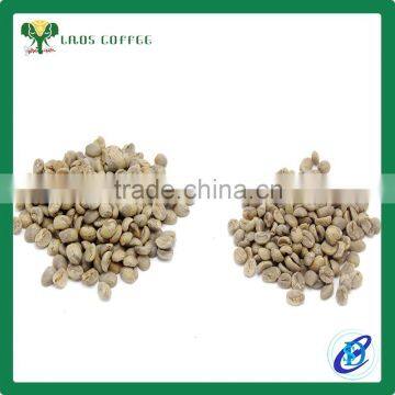 Green Coffee Beans Price Green Arabica Coffee Beans for Sale photo-6