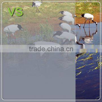 High Quality Decorative Pet Membrane/film for Glass Door photo-3