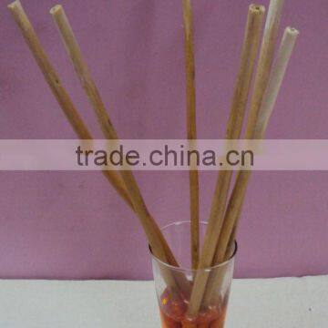 Reed diffuser stick