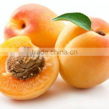 Apricots