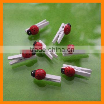 Cute Bettle Peg For Decoration