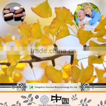 China Factory Supply Good Price Pure Natural Ginkgo Extract for HealthCare