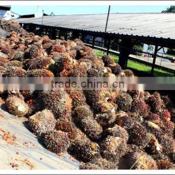 Palm Oil Production Machine Provided by the Most Famous Bran From China