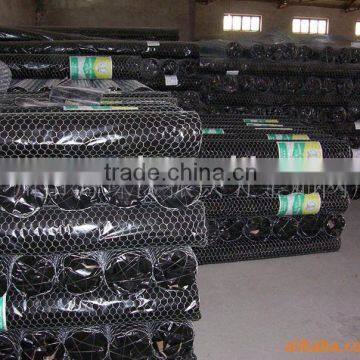 hexagonal wire netting