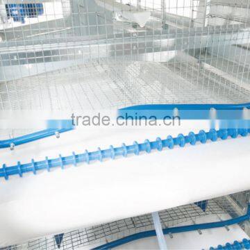 Full antomatic Chicken farm equipment Manure Belt for Sale