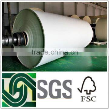 export high folding endurance paper cup raw material for disposable paper cup