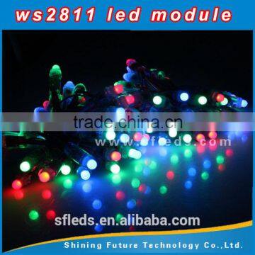 Waterproof Full Color 12mm DC12V Rgb Pixel Christmas Lights Led Pixel Light Direct and for Outdoor Singn Letter photo-2