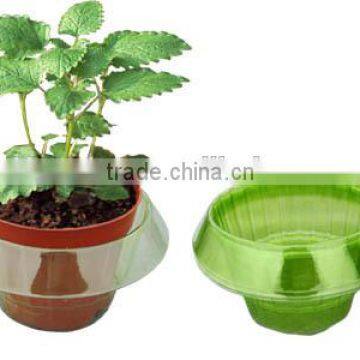 Plastic Slug/snail Guards photo-2