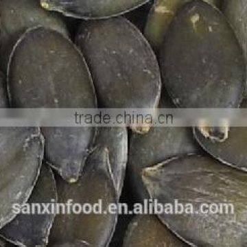 pumpkin seeds grown without shell grade AAA