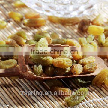 Chinese good quality new crop green raisins