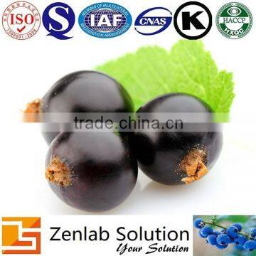 black currant anthocyanidins plant extract