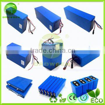 lithium battery all kinds of li-ion battery packs for e bike/golf trolley/segway scooter/solar system/street light