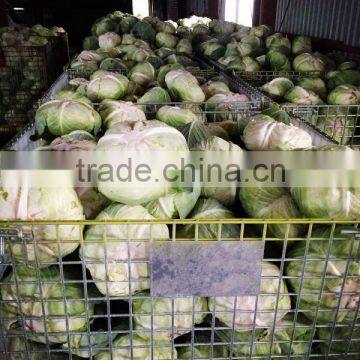 The wire for shipment with fruit vegetables