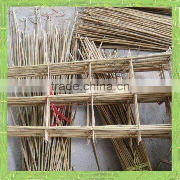 Bamboo ladder