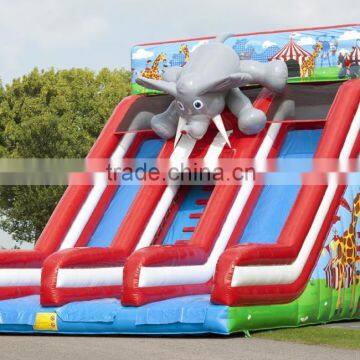 Hola fly elephant inflatable slide/used inflatable water slide for sale/inflatable water slide