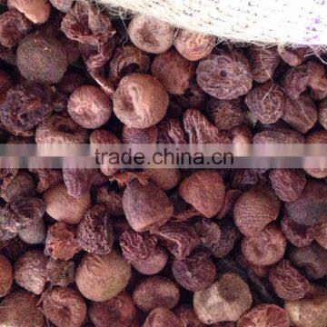 SELLING BOILED BETEL NUT Without Wrinkle Seeds FROM VIETNAM photo-2