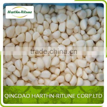 Frozen IQF peeled garlic 200-300 per kg