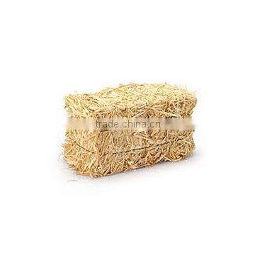 wheat straw, hay straw, straw bale, hay bale, wheat straw hay bale, hay for animal