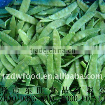 IQF Food Green Bean