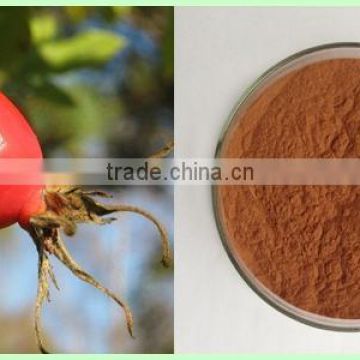 Rose Hip Powder