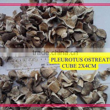 Dried raw pleurotus ostreatus