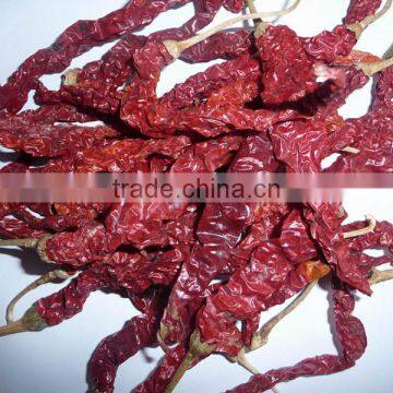 dried xi'an chili xian chillilong chili dried red long chilli