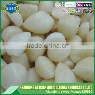 China freeze iqf peeled garlic with good quality & cheapest price