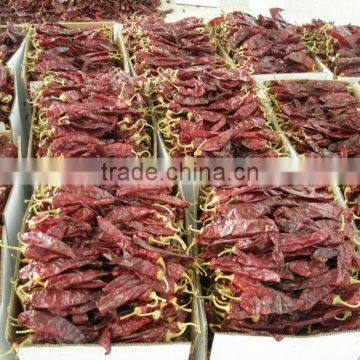 FDA /HACCP/SGS/HALAL Certificated Dry Paprika Pods photo-3