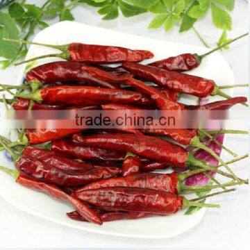 red pimento chili pepper