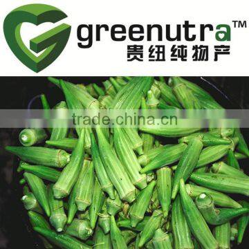 Abelmoschus esculentus Extract