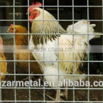 Poultry Panels for All Kinds of Livestock