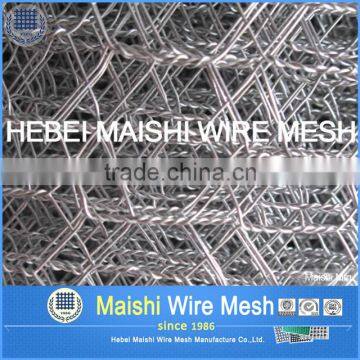 Qualified Hexagonal Wire Mesh photo-4