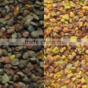 Seed CCD Camera Color Selector