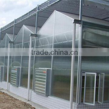 Large greenhouse with sunlight board covering