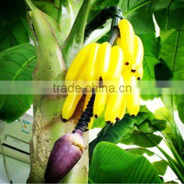 Y8463-15-1LS( 2014 Hot Sale Factory Direct Extra Large Banana Trees for Hotel Decoration ) photo-2