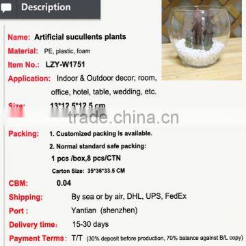 Artificial Succulents Wholesale Bonsai Potted Small Plant Table Artificial Preserved Plant photo-2