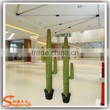 Latest Design Home Decoration Craft Artificial Cactus Plants Make Decoration Plastic Cactus and Plants photo-3