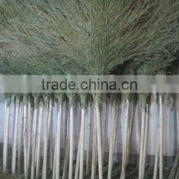 15-20 BRANCHES BAMBOO BROOM BY HAND