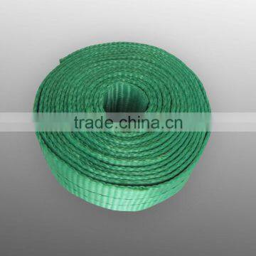 wholesale polyester webbing 2t