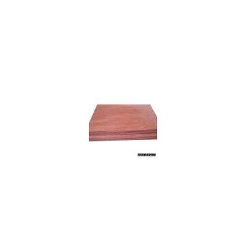 Sell Red Canarium Plywood