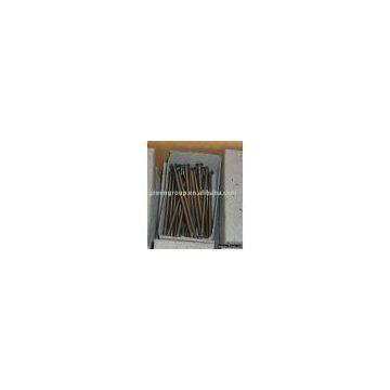 Common Round Wire Nail